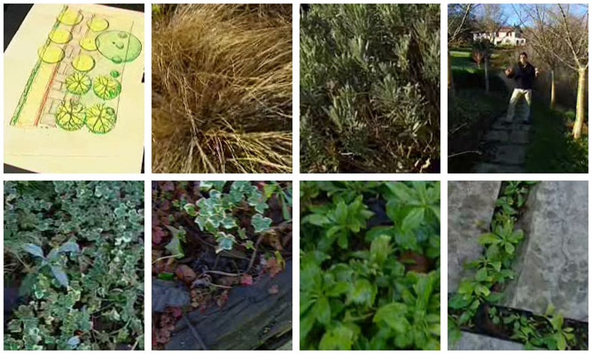 Deko_arte_floral_0012_jardin rectangular