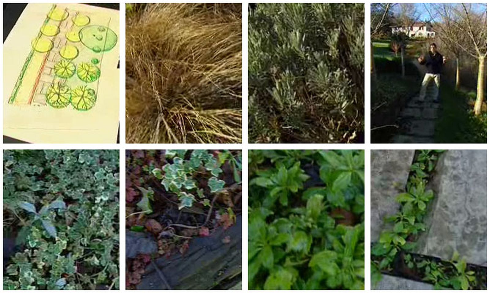 Deko_arte_floral_0012_jardin rectangular