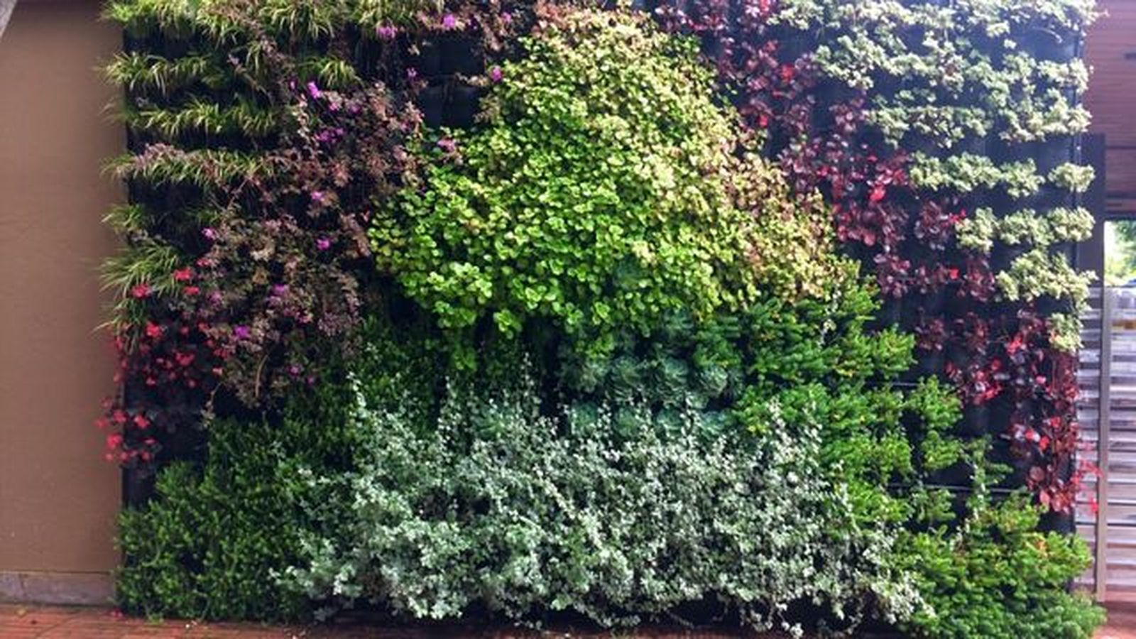 jardin vertical en exterior