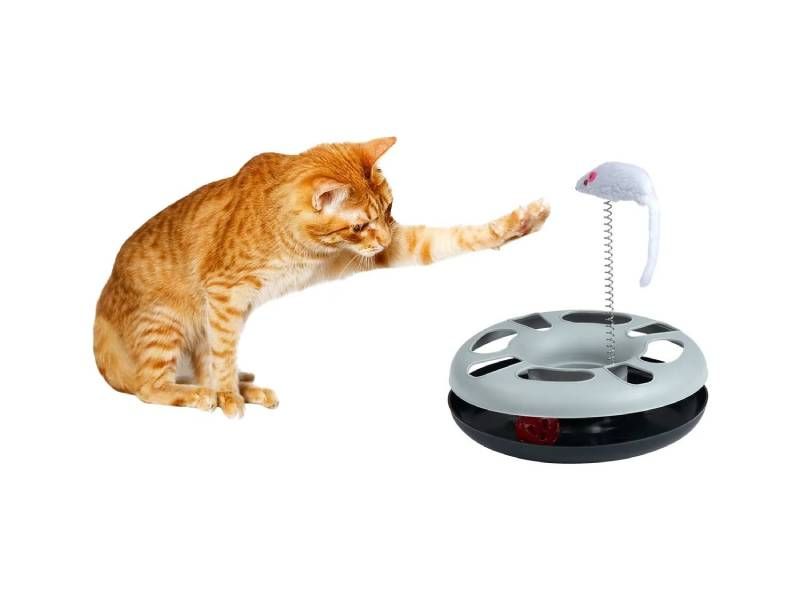 Juego de inteligencia para gatos de Lidl.