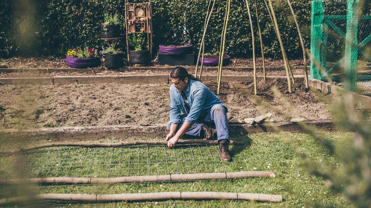 993 jardineria estructura pepinos malla galvanizada