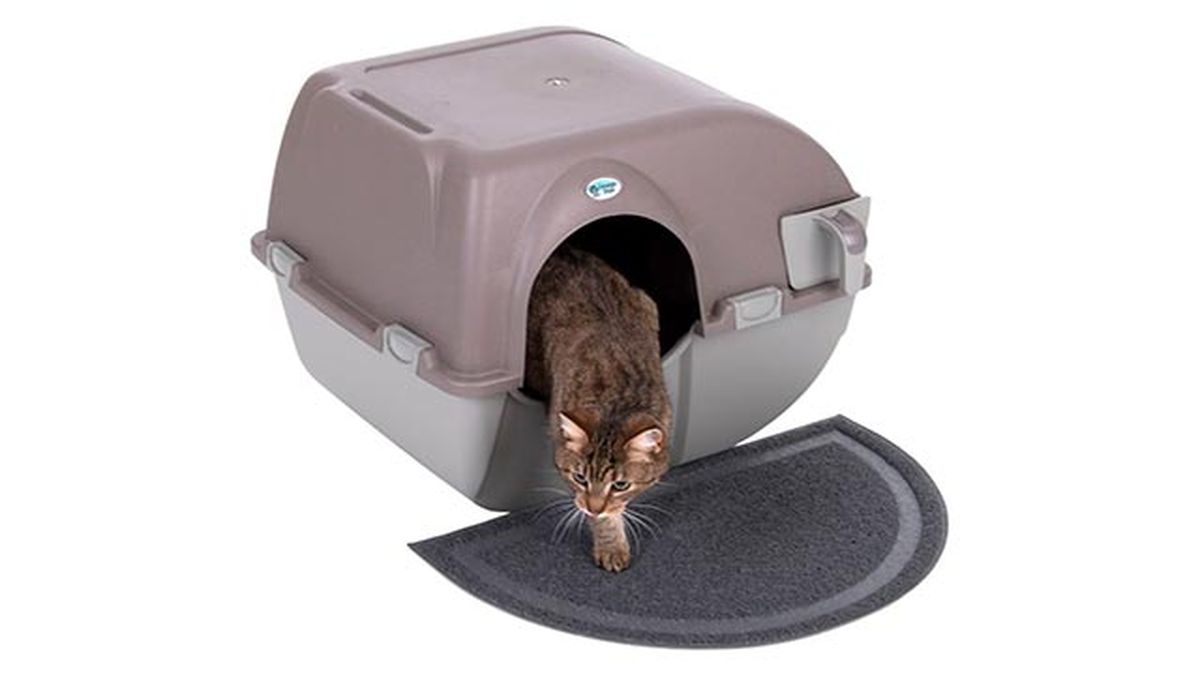 arenero autolimpiable zooplus