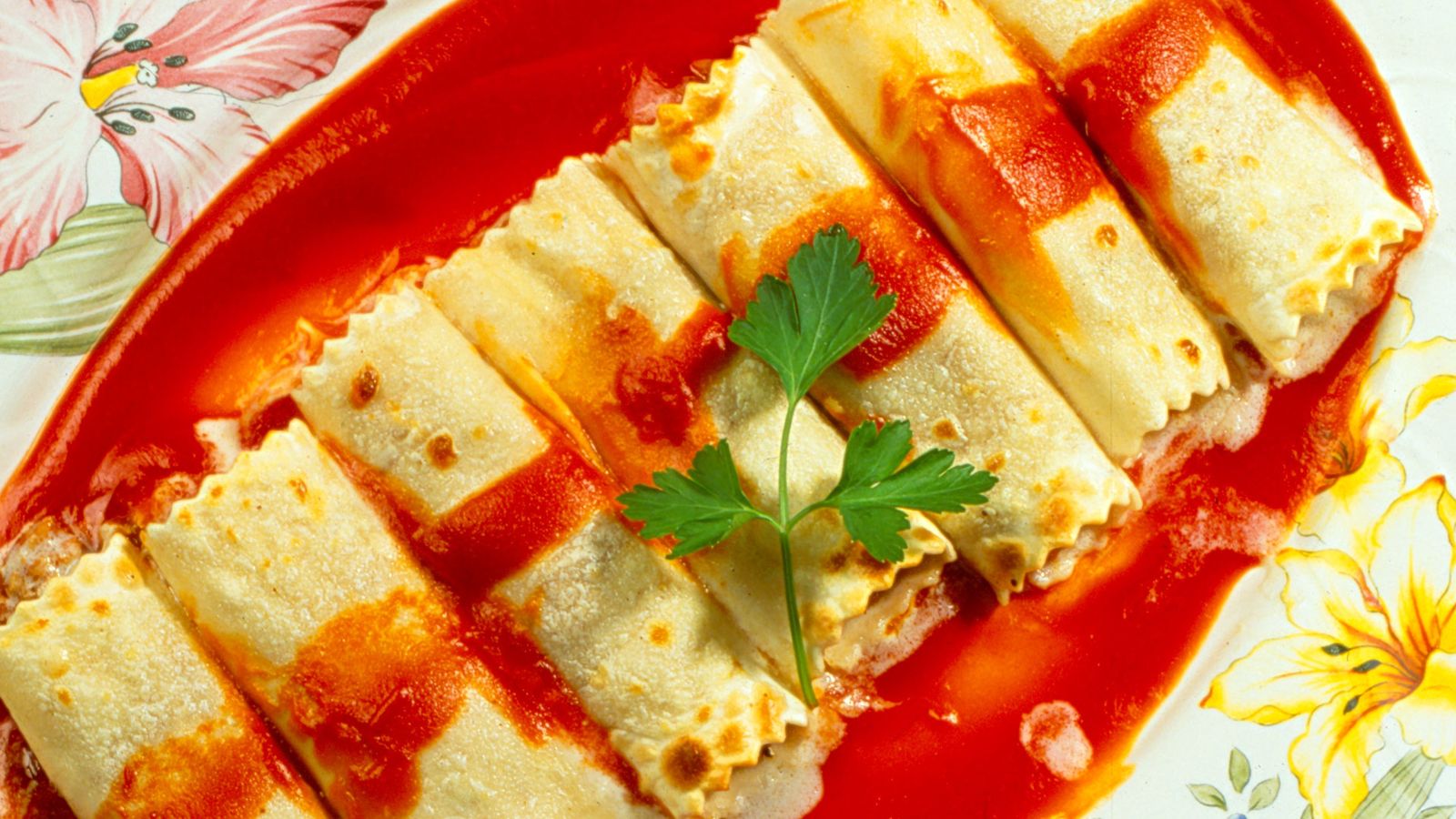 003 2 canelones bonito xl