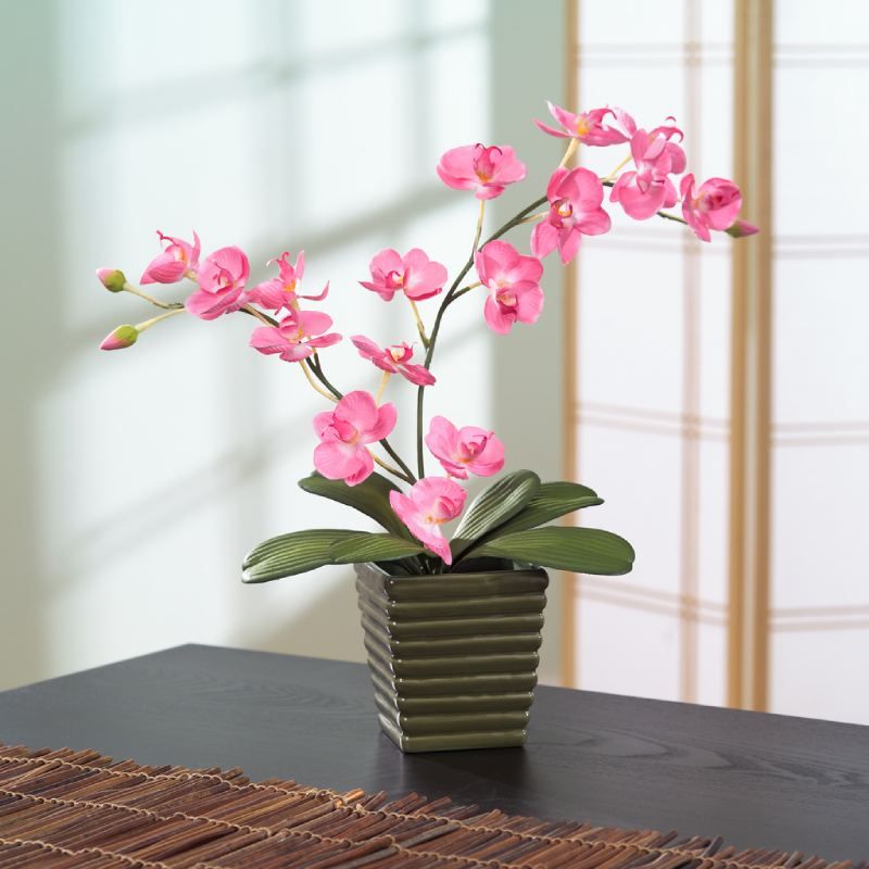 Orquídea