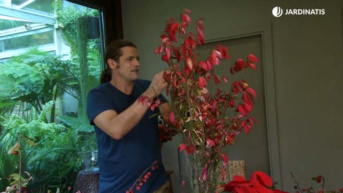 arreglo floral navideno bonetero deco 635 jardinatis