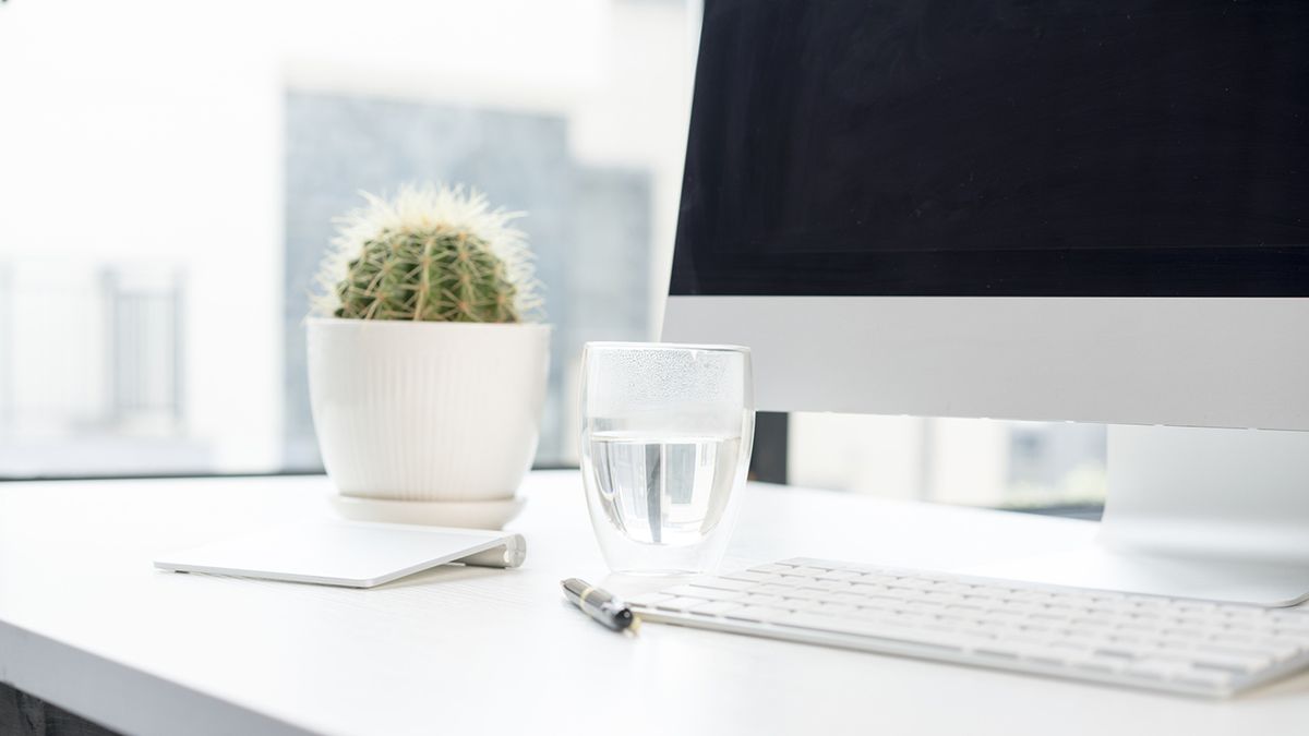 plantas para la oficina xl