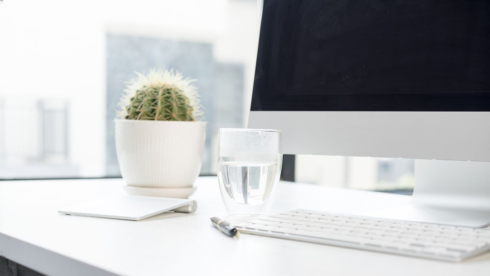 plantas para la oficina xl