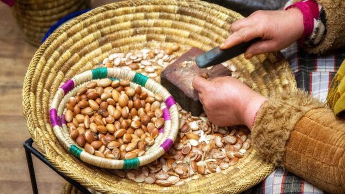 nueces de aceite de argán por métodos tradicionales