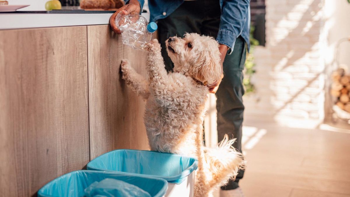 cocina cubos basurAS