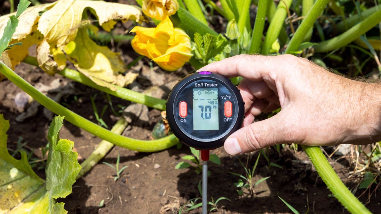 El pH del suelo es esencial para garantizar una correcta absorción de nutrientes.