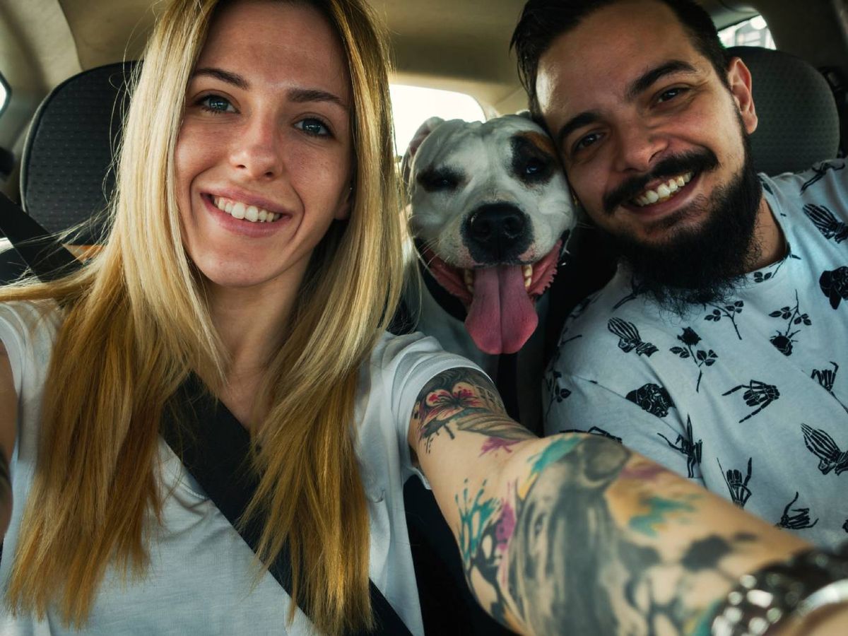 Especialmente recomendado para perros de tamaño mediano y pequeño.