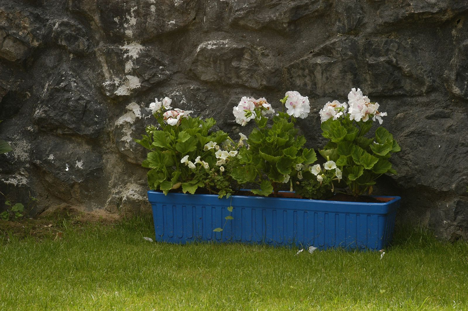 Cómo pintar una jardinera de terracota