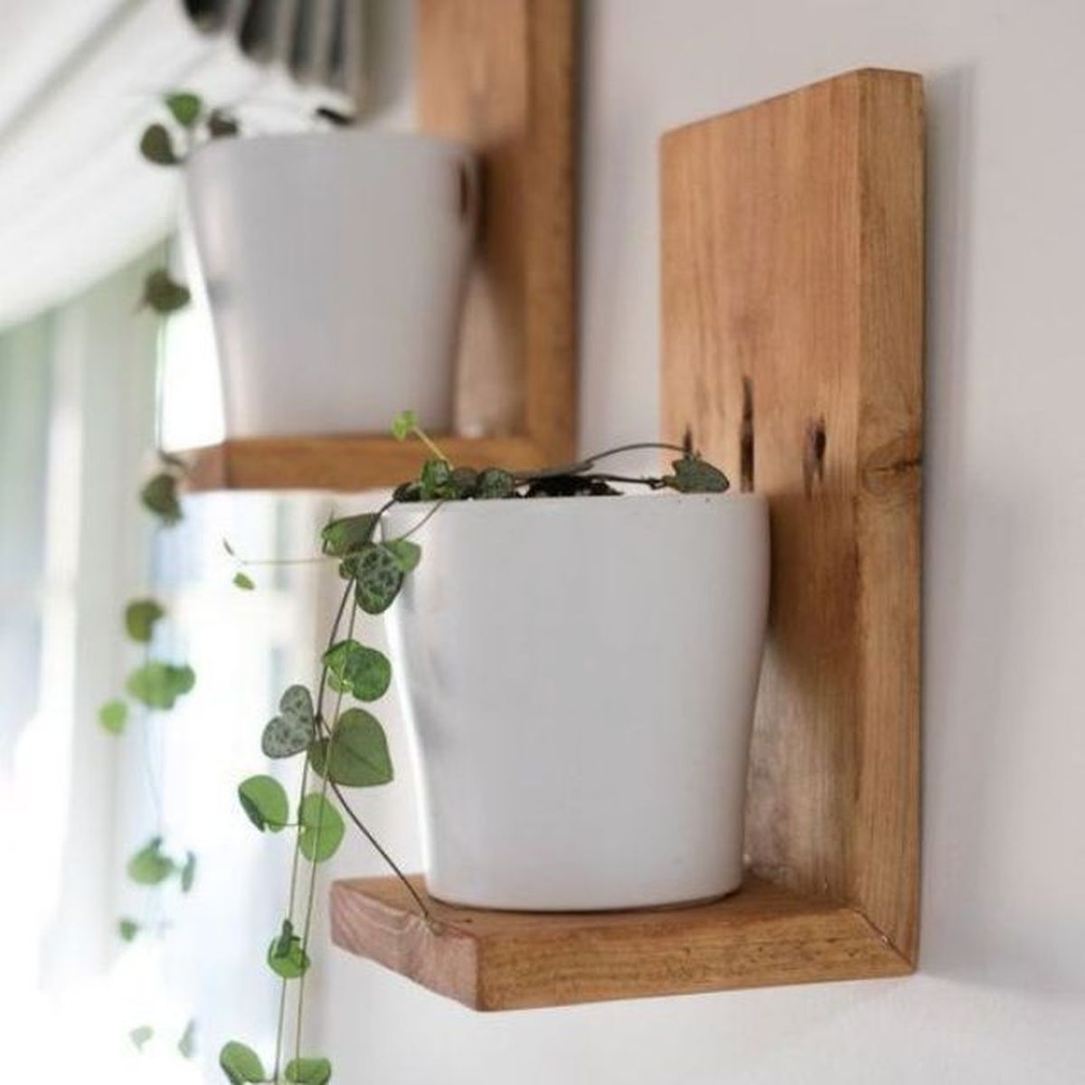 caja de vino tranformada en balda para plantas