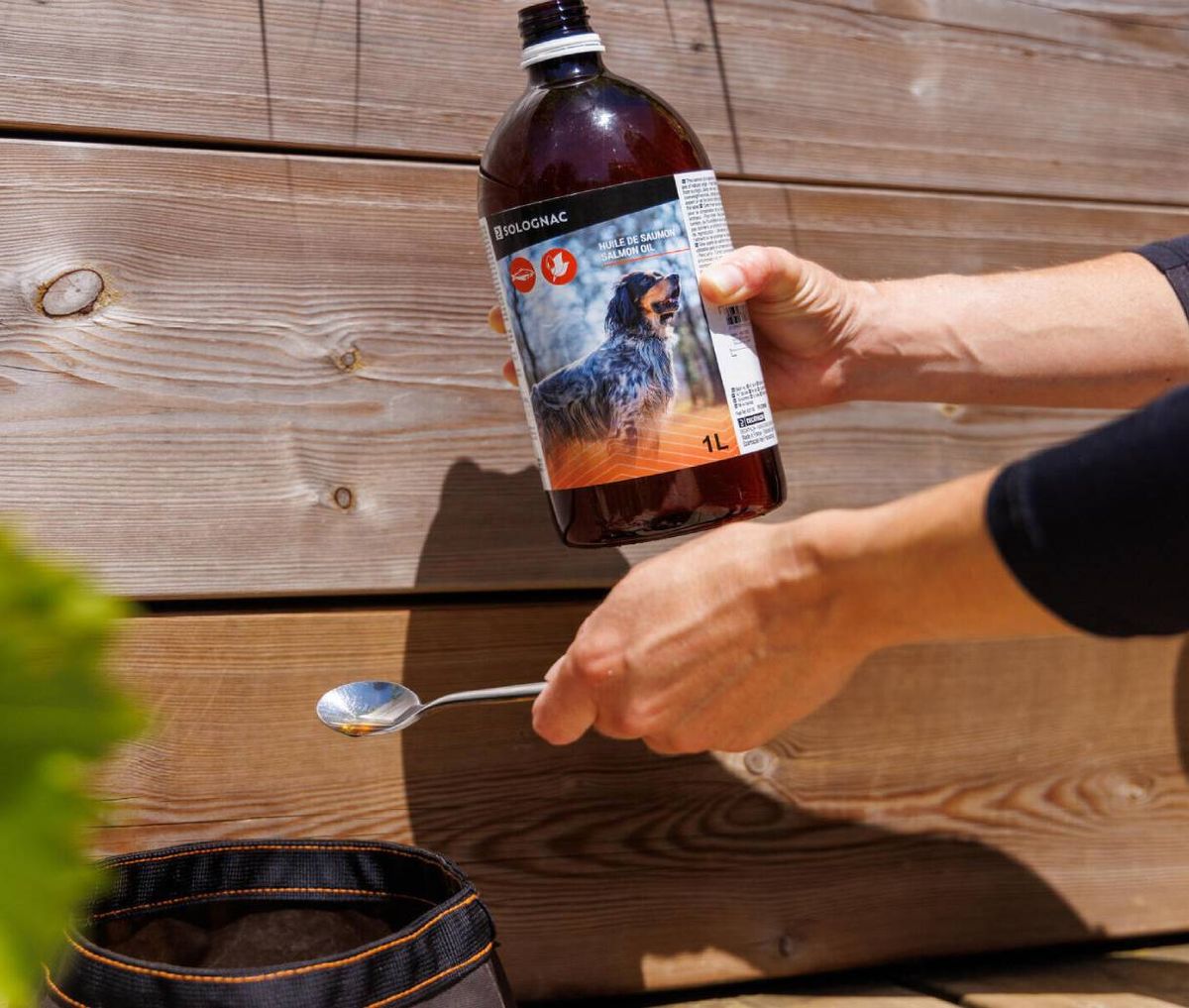 mejor aceite de salmon para perros gatos decathlon